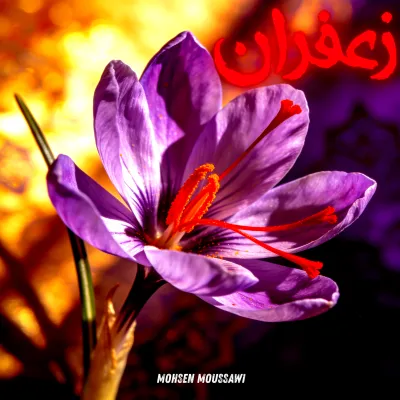 زعفران